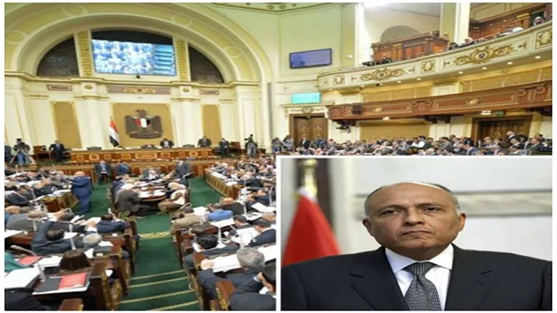 سامح شكرى داخل البرلمان