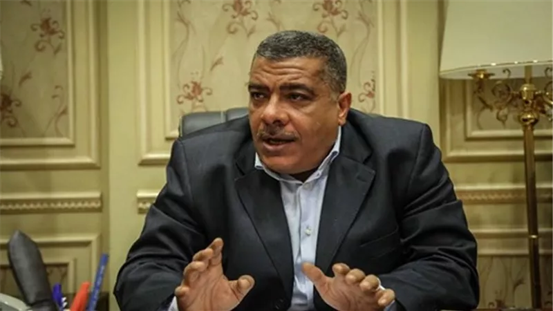 برلماني يطالب بتعزيز أطر التعاون بين مصر وفرنسا