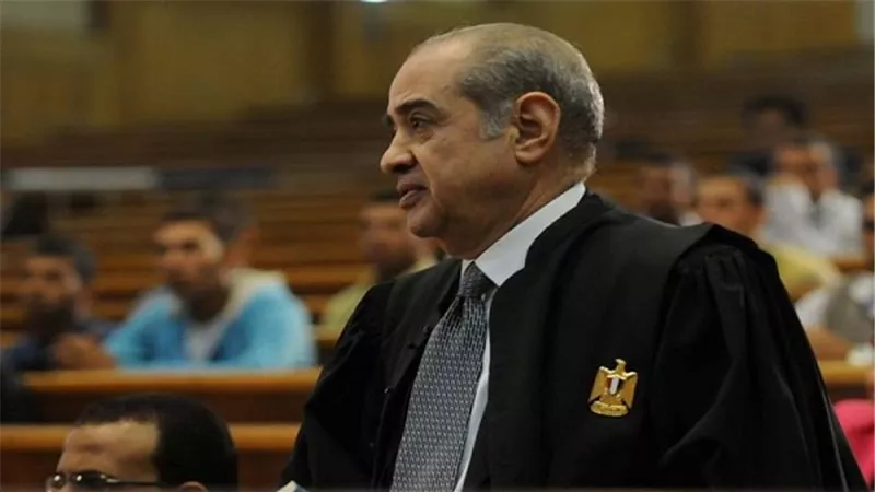 الديب: الإخوان وحماس اشتركا في قتل المتظاهرين.. والشرطة بريئة