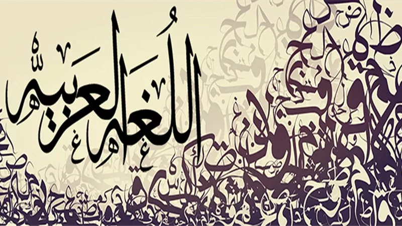 6 معلومات قد لا تعرفها عن لغة 