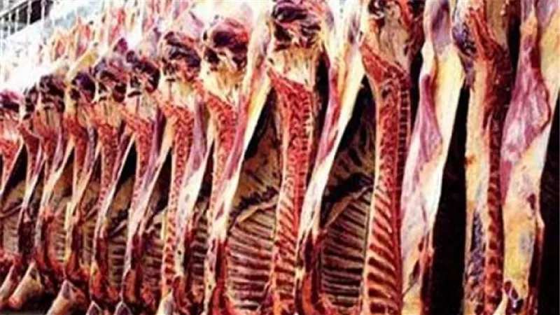 استيراد 180 ألف طن لحوم برازيلية خلال 2016