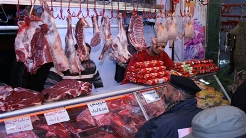 ارتفاع أسعار الدواجن والأسماك بسوق سليمان جوهر في الدقي