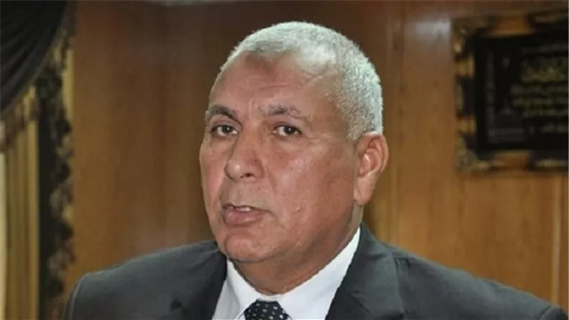 محافظ الوادى الجديد: ميكنة جميع الخدمات الحكومية ضرورة