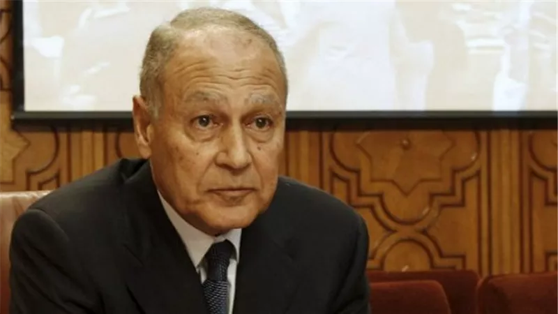 أبو الغيط: حل الدولتين السبيل الوحيد لإنهاء القضية الفلسطينية