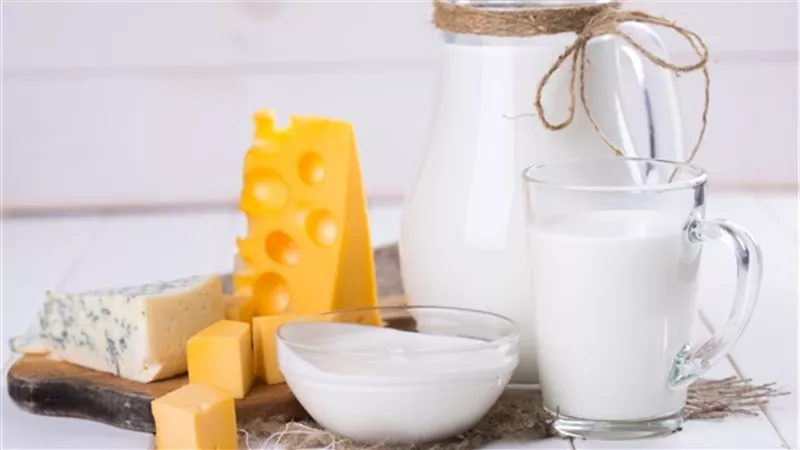 تباين أسعار الألبان ومنتجاتها.. و