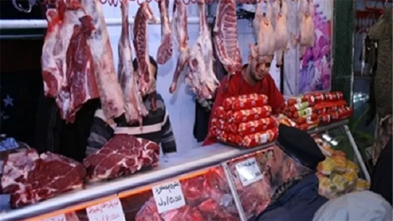 الكندوز يسجل 120 جنيهًا في الدقهلية