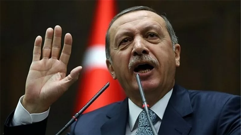 أردوغان: تعرضنا لحملة صليبية لإفشال الاستفتاء