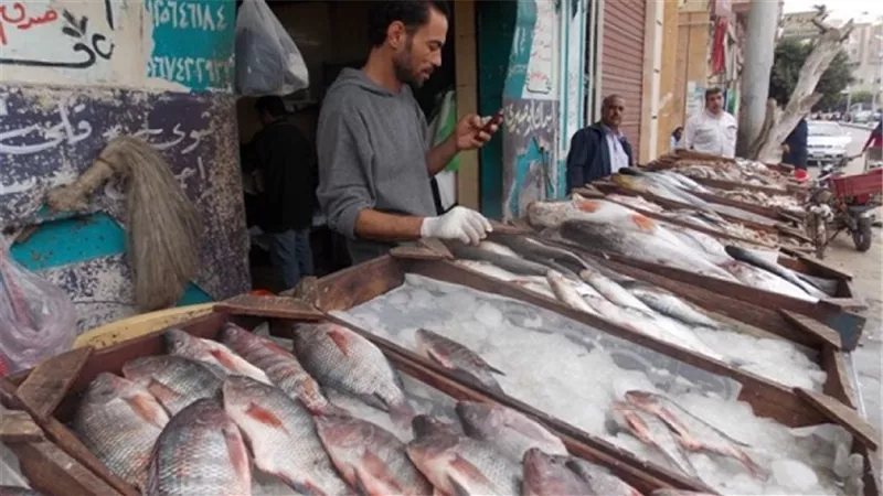 تباين أسعار الأسماك اليوم بسوق الجملة.. والبلطي بـ27 جنيها