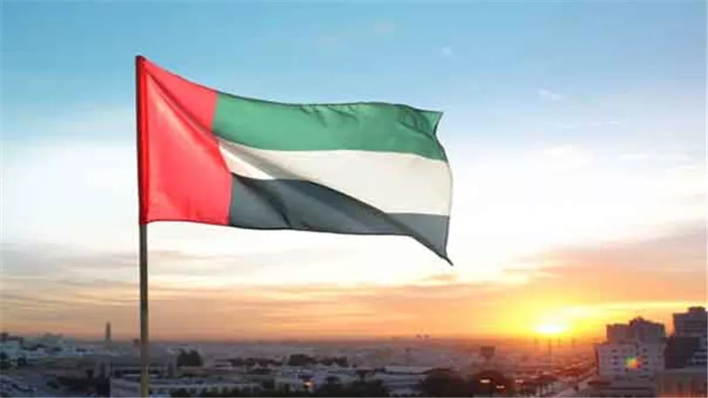 توافق سعودي إماراتي على تسمية رئيس جديد لليمن.. و