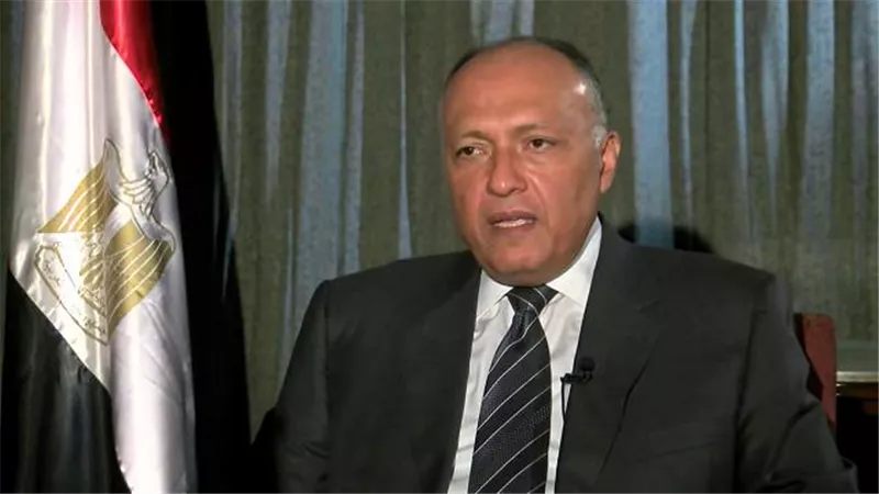 بدء مباحثات وزير الخارجية مع نظيره الإثيوبي بقصر التحرير