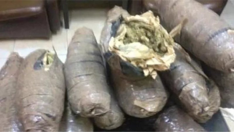 حبس سائق حاول تهريب 300 كيلو بانجو في المنيا
