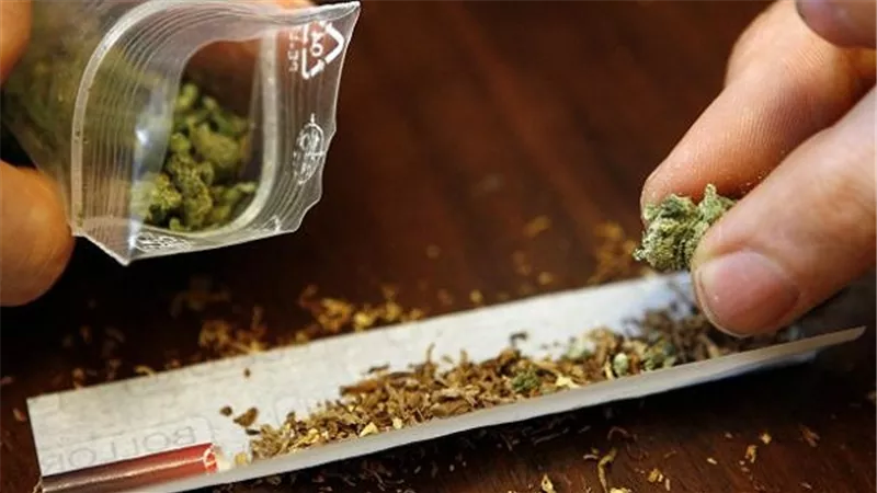 مصر تحل بالمرتبة الـ25 عالميا في تدخين الحشيش