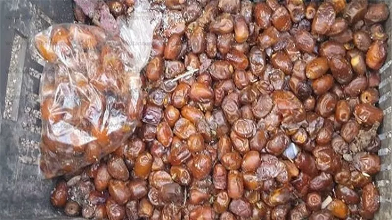 البلح الأسوانى يسجل 15 جنيهًا بسوق الجملة.. اليوم