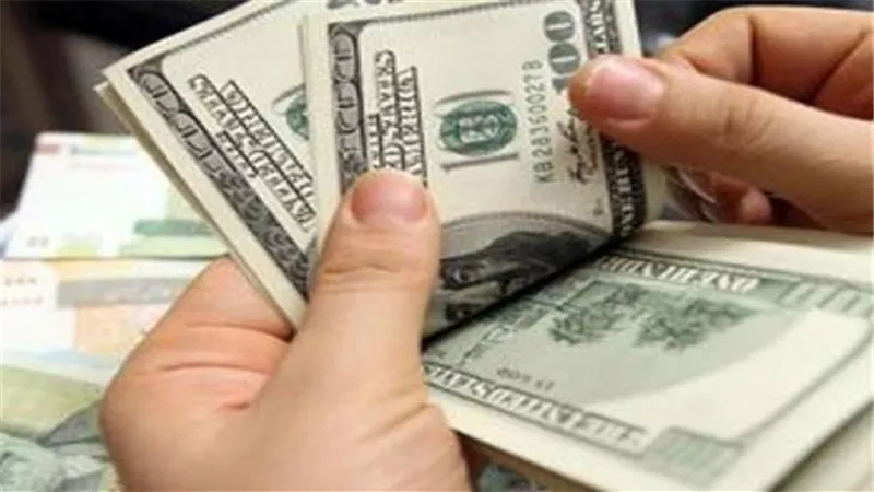 مصادر: تثبيت سعر الدولار الجمركي عند 16 جنيها حتى نهاية مايو