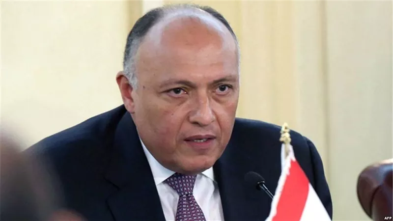 وزير الخارجية يستقبل نظيره الإريتري ومستشار الرئيس أفورقي