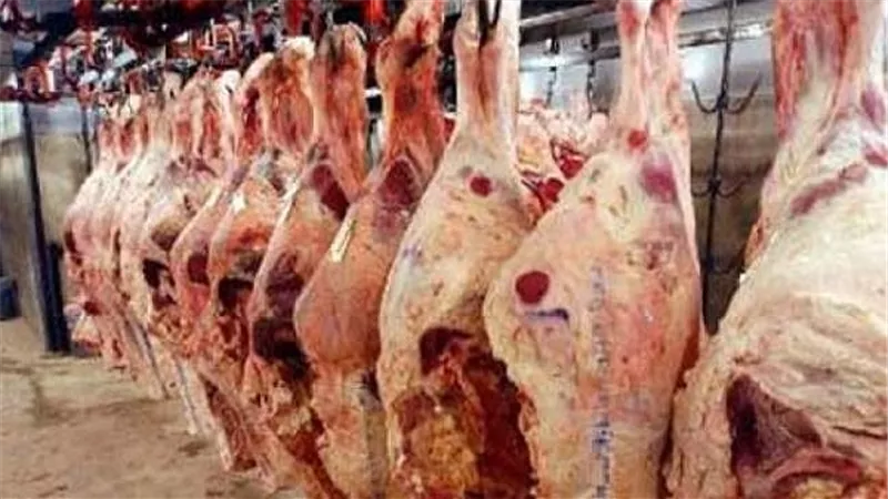 ارتفاع أسعار اللحوم اليوم.. والكندوز بـ140 جنيها في الجيزة