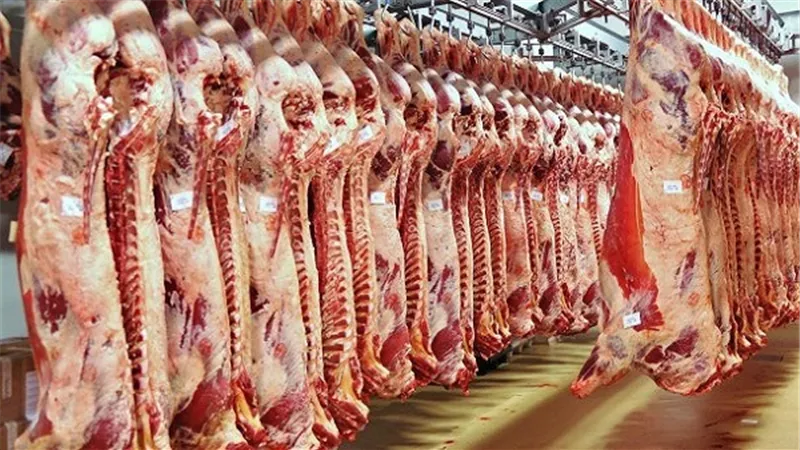 اللحم الكندوز يسجل 130 جنيها بسوق المريوطية.. اليوم