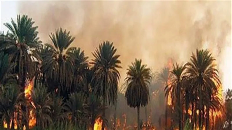 السيطرة على حريق الأشجار بمحيط سنترال العتبة