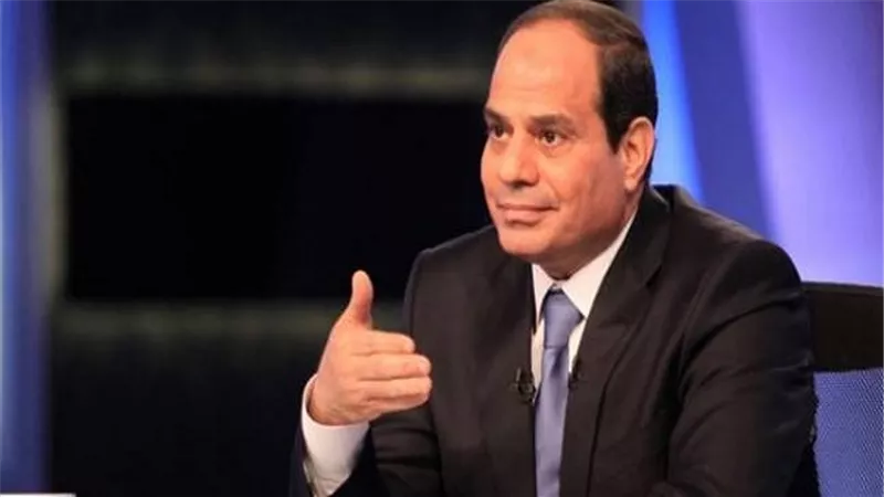 السيسي لمستشار النمسا: نعمل علي وقف نزيف الدم فى سوريا وإعادة الاستقرار فى ليبيا