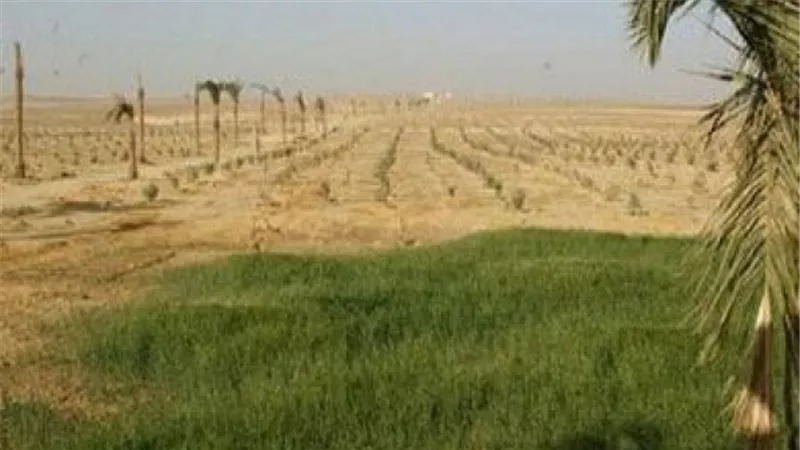 سحب الاراضي المنهوبة تضع رجال الاعمال في مأزق
