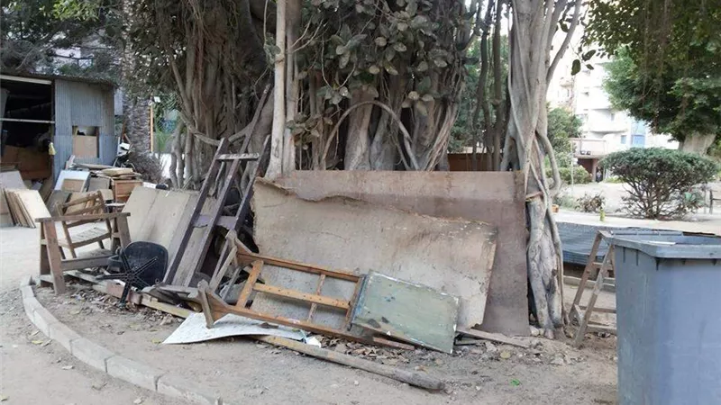 كلية الفنون القبيحة.. أقسام 