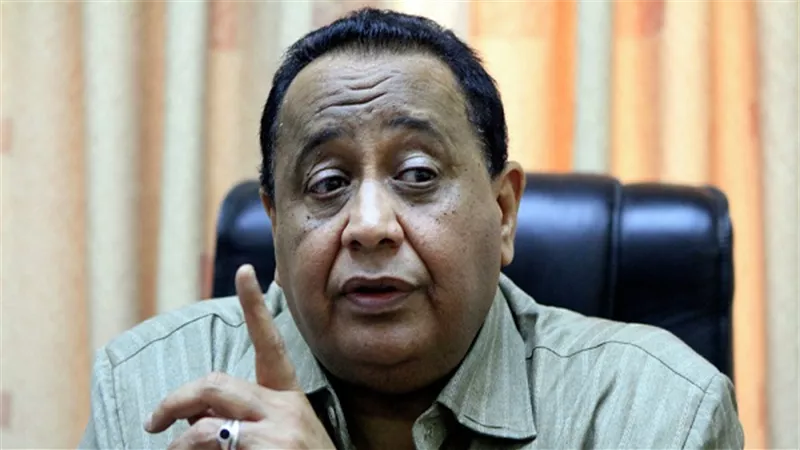 الغندور: لا دوافع سياسية وراء حظر دخول المنتجات المصرية للسودان