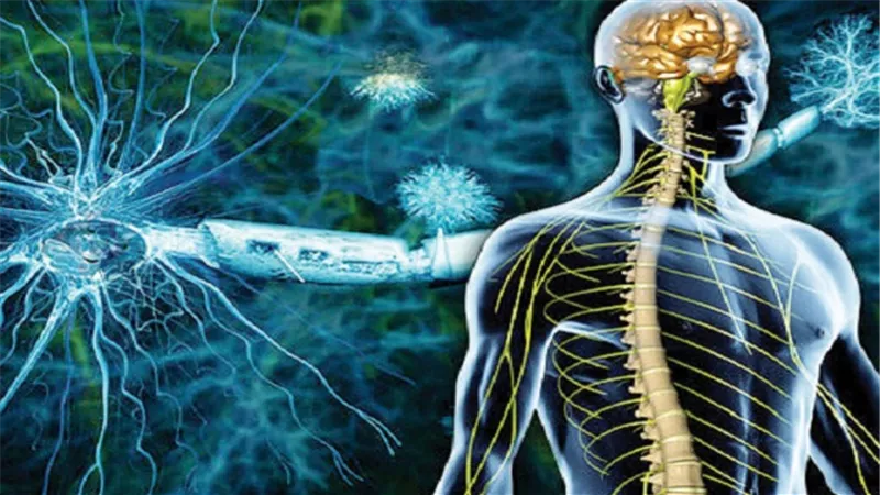 رئيس جمعية التصلب المتعدد يناشد السيسي لتكليف الحكومة لرفع نسبة المشاركة في علاجهم