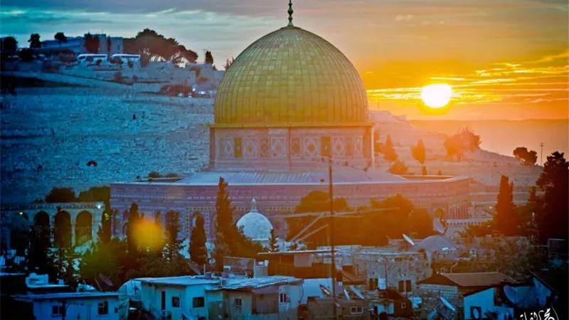 أول رد مصري على أحداث فلسطين.. ماذا قالت؟
