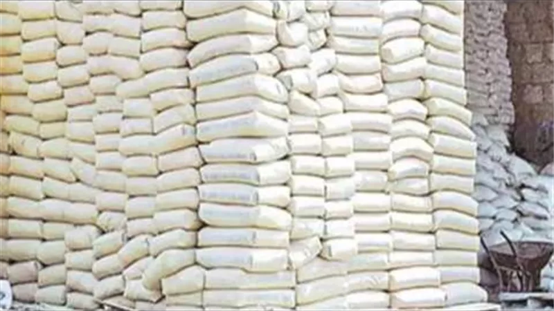 استقرار أسعار الجبس اليوم.. و