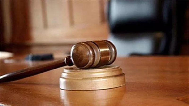 تأجيل دعوى وقف قرار إحالة اتفاقية تعيين الحدود للبرلمان لـ٧ سبتمبر