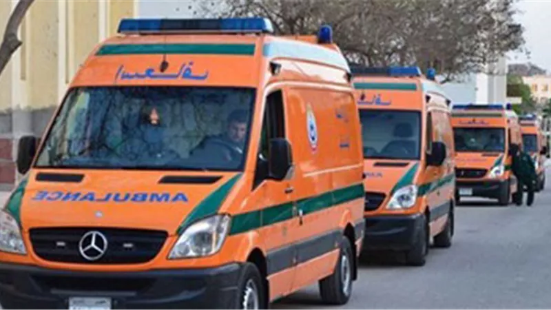 مصرع 3 أطفال أشقاء تناولوا مادة سامة عن طريق الخطأ بالمنوفية
