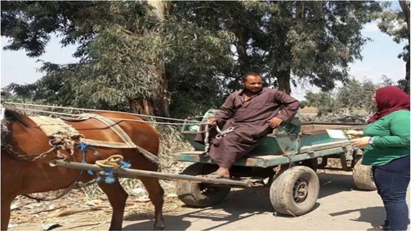 البيئة تفحص 128 مركبة بالمنصورة والبحيرة