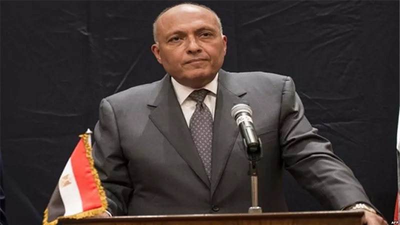 غدًا.. سامح شكرى يلتقى وزير خارجية اليمن بالقاهرة