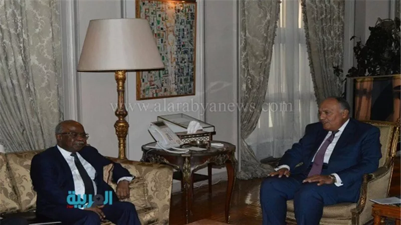 سامح شكري يستقبل وزير خارجية تشاد 