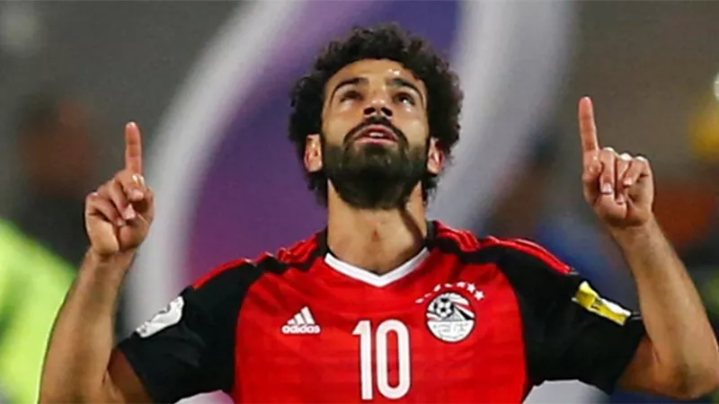 هدية من المقاولون العرب لـ