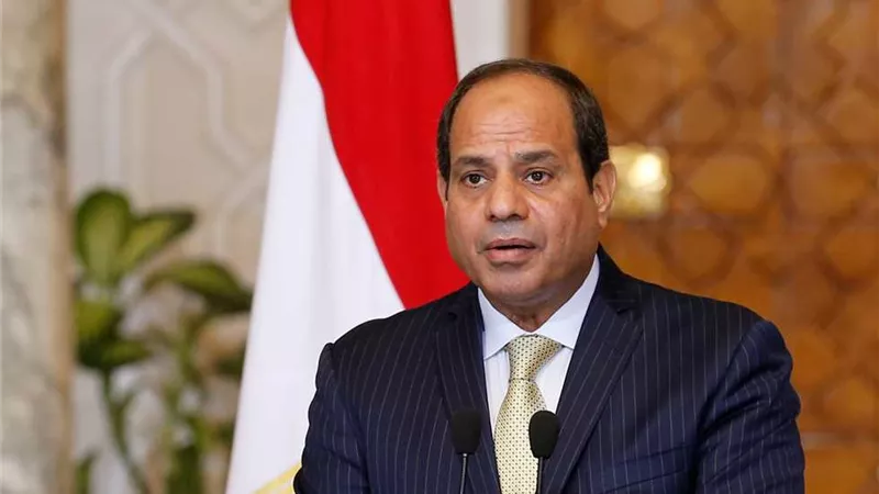 السيسي يشيد بالتعاون مع شركة داسو للصناعات الجوية