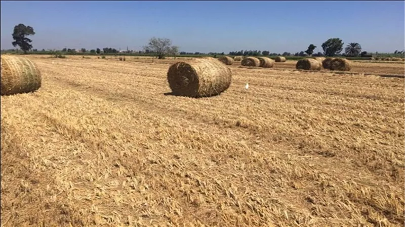 مجهودات وزارة البيئة لمواجهة نوبات تلوث الهواء الحادة على مدار الاسبوع الحالى