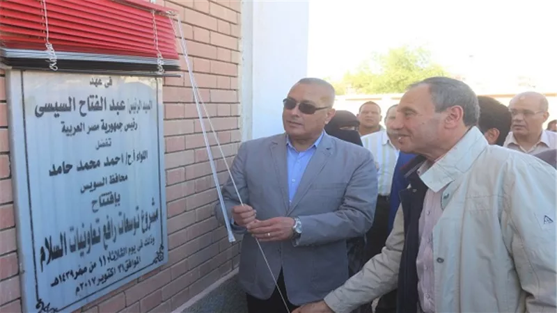 بالصور.. 