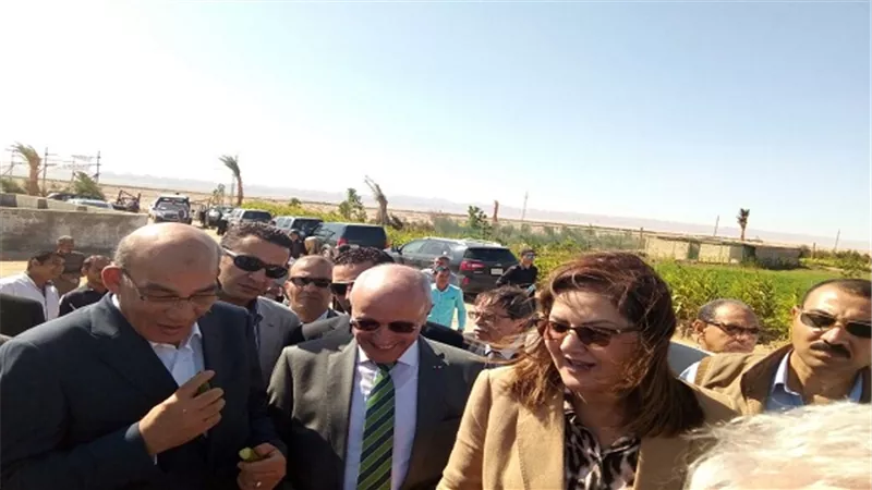 البنا: توفير تقاوي الفول والقمح والشعير لأبناء سيناء ومطروح مدعومة بنصف الثمن