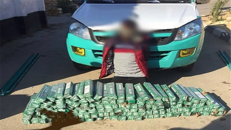 الجيش الثالث.. تنفيذ عدد من الكمائن غير المدبرة بوسط سيناء
