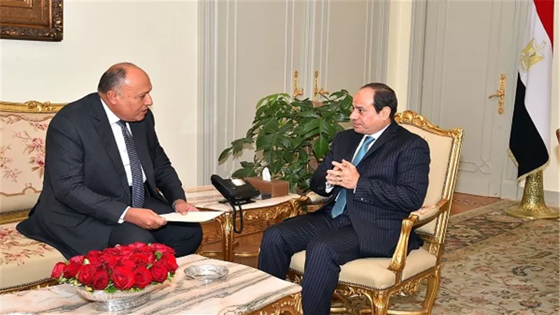 السيسي يتلقي تقريراً من وزير الخارجية بشأن جولته العربية الأخيرة