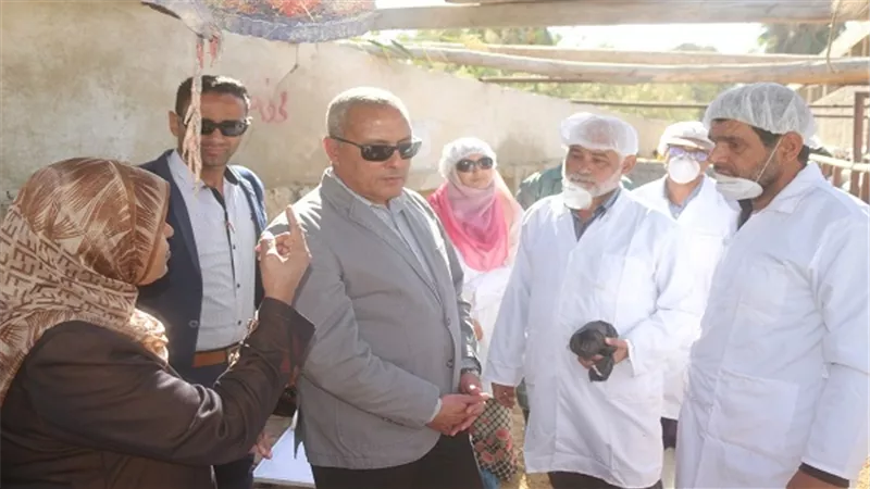 بالصور.. 