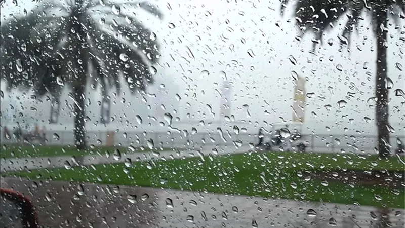 تعرف على حالة الطقس غدًا.. هل تتساقط أمطار؟