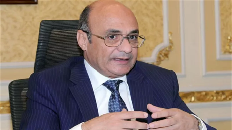 برلماني: الرئيس عبد الفتاح السيسي مهتم ملف بحقوق الانسان في مصر
