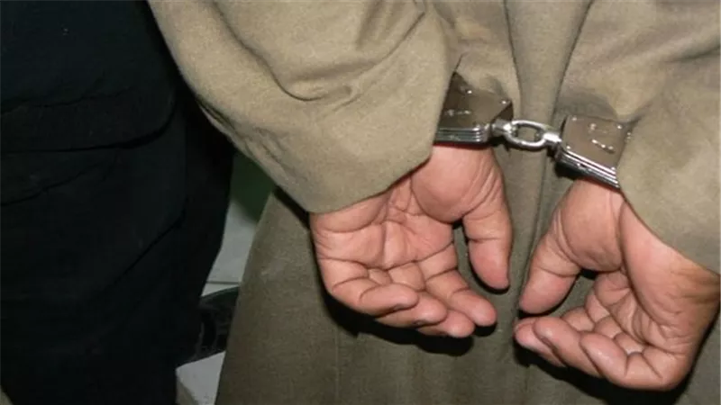 القبض على مزارع بحوزته 3بنادق آلية بقنا