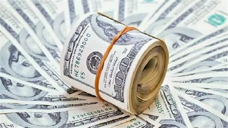 المالية: استمرار تثبيت سعر الدولار الجمركي خلال شهر يناير عند 16 جنيها