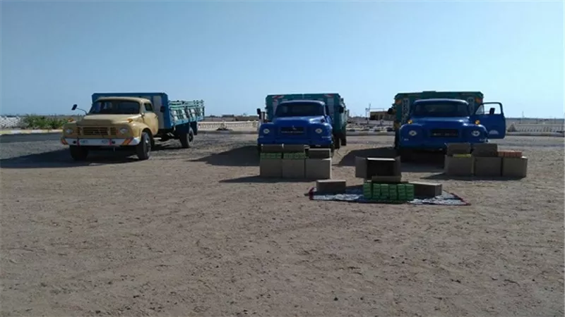 جهود مكثفة لقوات حرس الحدود على كافة الاتجاهات الاستراتيجية