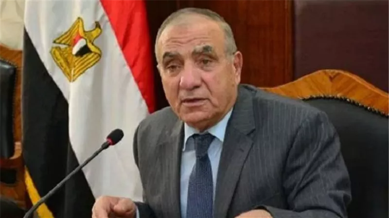 وزير التنمية المحلية : هدفنا إنشاء مشروعات استثمارية فى الصعيد حتى يبقى أهل الصعيد وسط أهلهم 