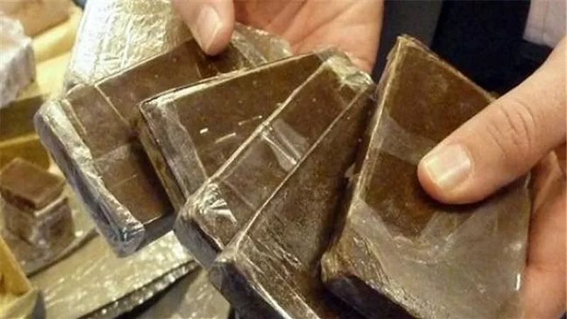ضبط مسجل خطر بحوزته نص كيلو حشيش بالغربية