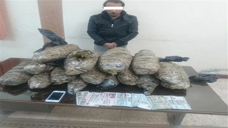 ضبط محكوم عليه هارب وبحوزته 45 كيلو جرام من مخدر البانجو بالشرقية